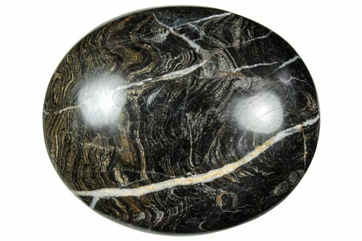 Polished Stromatolite (Greysonia) Pebble - Bolivia #302537